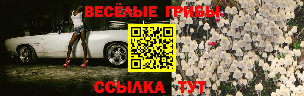 Галлюциногенные грибы ЛСД  Вход с VPN  Псилоцибиновые грибы мицелий  Обнинск 